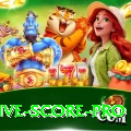 all cricket live score Turbo Casino App