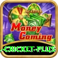 all cricket Casino Pro v5.7.8