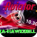 antigua hawksbill Ultimate v4.6.7