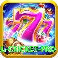 bbl cricket Turbo 2024