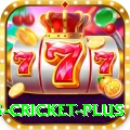 bet365 cricket PK Mega