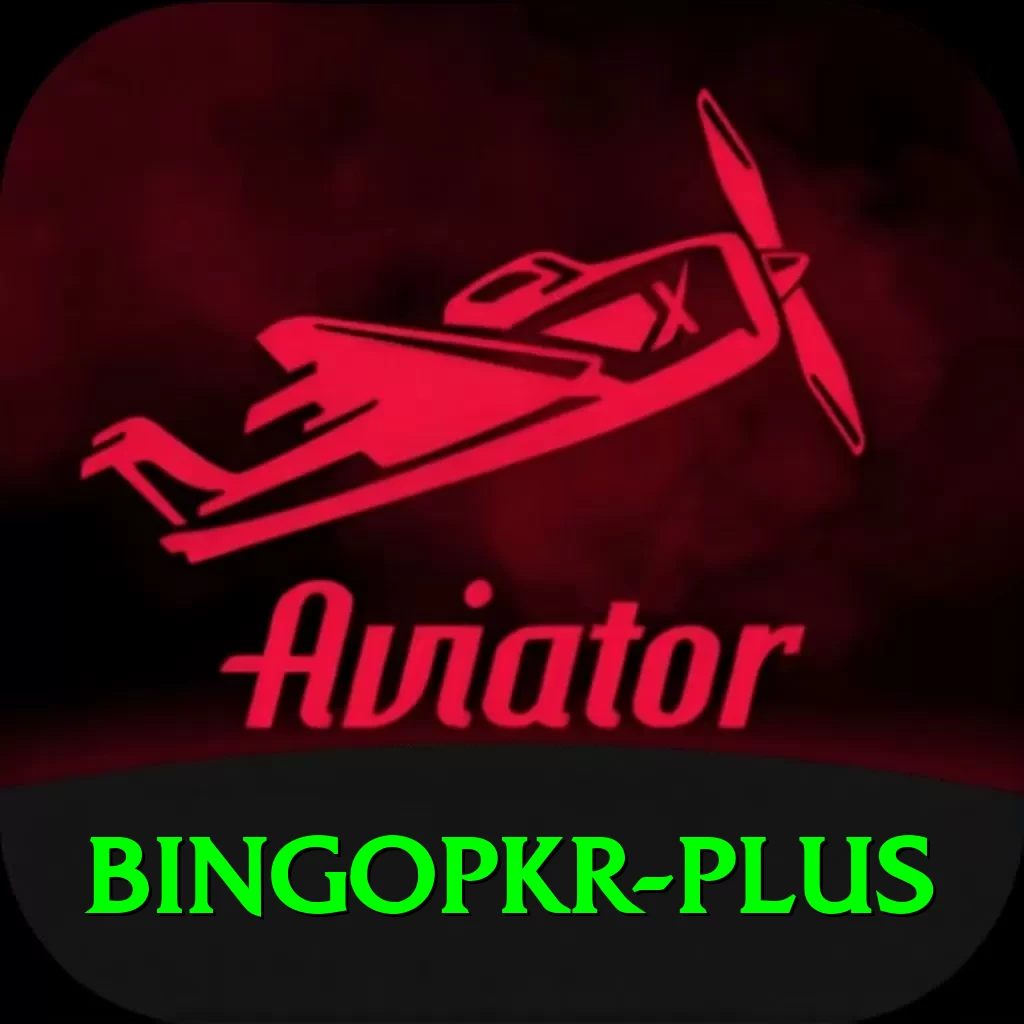 bingopkr Deluxe Pro v1.5.6 - 2