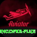 bingopkr Deluxe Pro v1.5.6