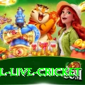 bpl live cricket Apps (Tools & Injectors) Master v4.1.9