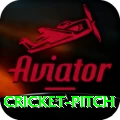 cricket pitch Premium Plus v1.2.8