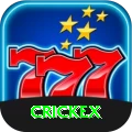 crickex Apps (Tools & Injectors) Gold vv5.1.4