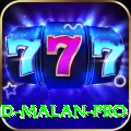 dawid malan Casino Pro v3.8.8