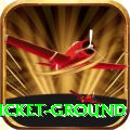 edgbaston cricket ground Gold Edition v2.5.5