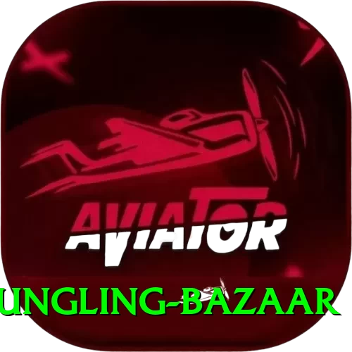fungling bazaar VIP Pro v4.2.9 - 2
