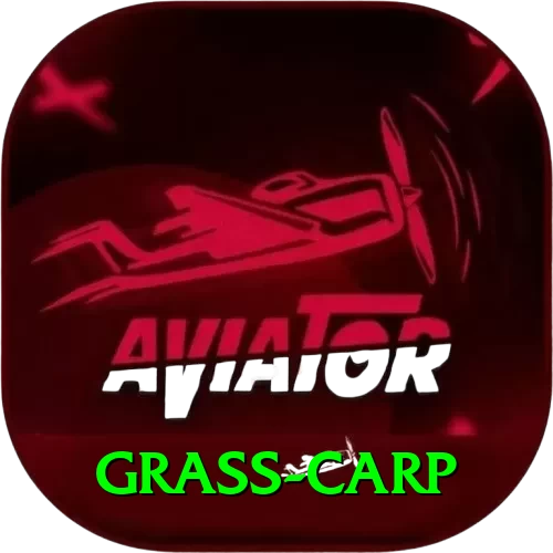grass carp Max v5.8.0 - 2
