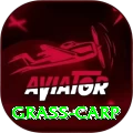 grass carp Max v5.8.0