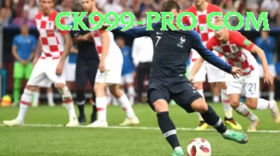 sports cricket Elite New Screenshot 4 - 6