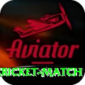 india bangladesh cricket match Deluxe Edition v2.1.0