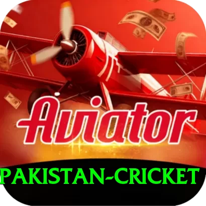 india pakistan cricket Deluxe v5.1.9 - 2