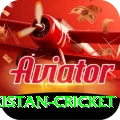 india pakistan cricket Deluxe v5.1.9