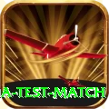 india test match Deluxe v1.6.3
