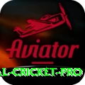 international cricket - Master v2.9.5