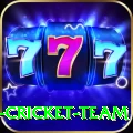 ireland cricket team VIP v1.2.9