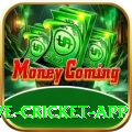 live cricket app Plus v4.4.3