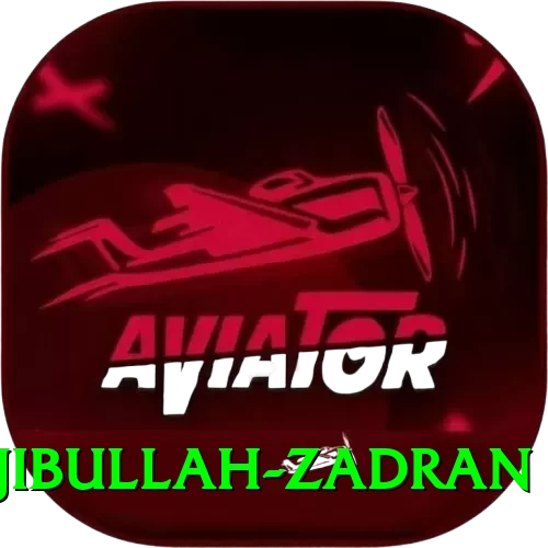 najibullah zadran Deluxe Edition v5.3.7 - 2