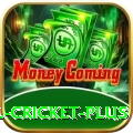 nepal cricket - Casino Mega