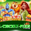 one cricket - Casino Mega