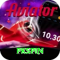 pkspin Premium Edition v3.8.8