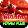 pkwin Gold v1.1.8