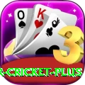 r cricket Champion v1.1.3