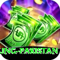 responsible gambling pakistan Apps (Tools & Injectors) Gold v5.0.7