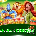 risk free bet cricket Apps (Tools & Injectors) VIP v1.7.1