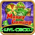smartcric live cricket Turbo Pro v4.8.1