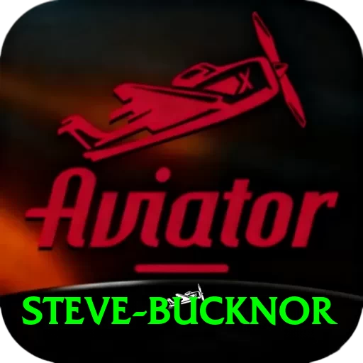steve bucknor Deluxe Pro v3.3.1 - 2