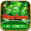 test cricket Games (Casino & Earning) Premium v3.6.7