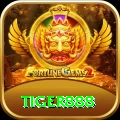 tiger888 Plus v2.6.7