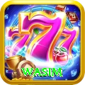 wasim VIP v2.2.0