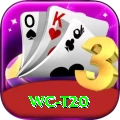 wc t20 Max Pro v3.2.0