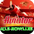 wicket hauls bowlers VIP Edition v5.3.3