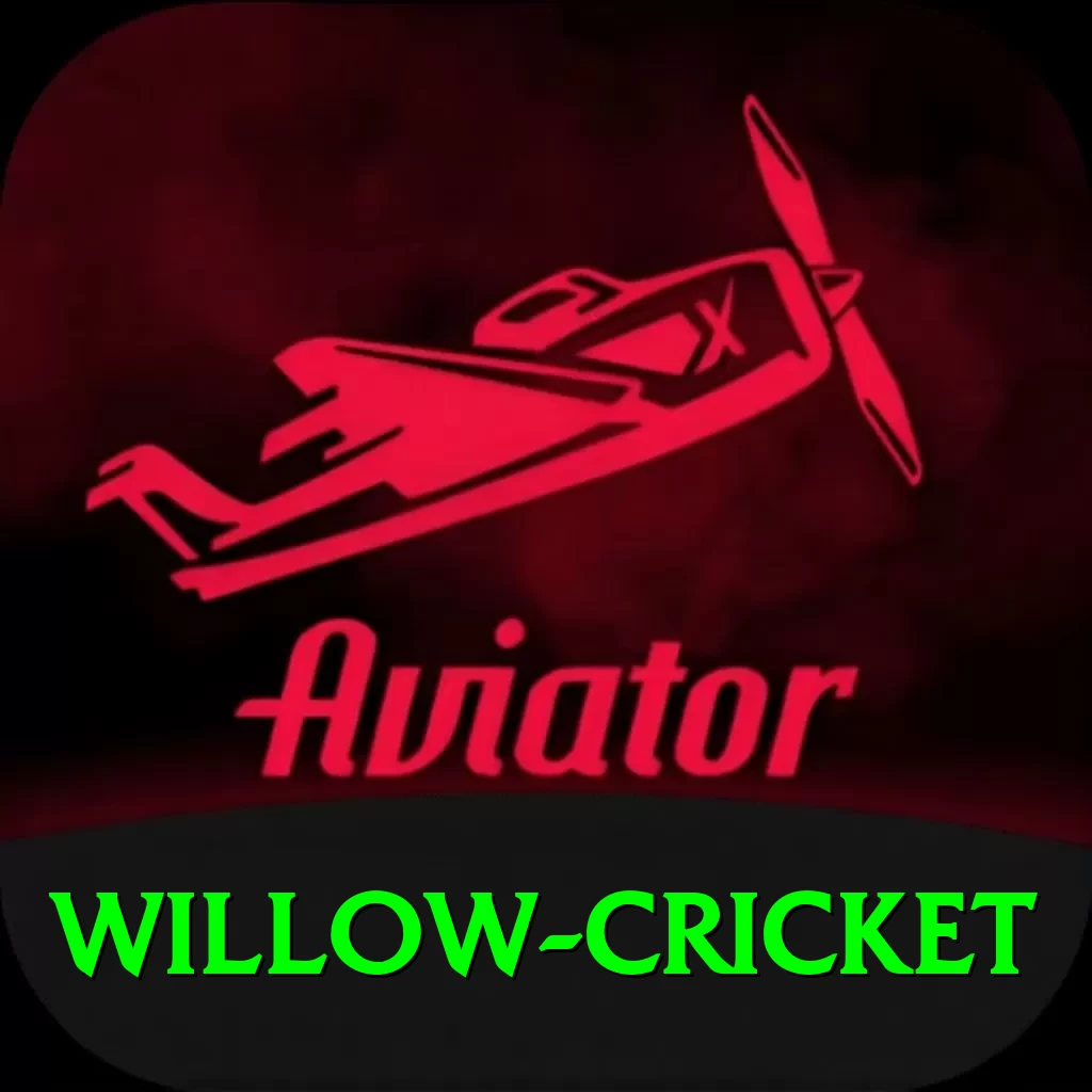 willow cricket Master Pro v2.6.5 - 2