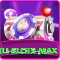 Winli Slots Slot Machine Max